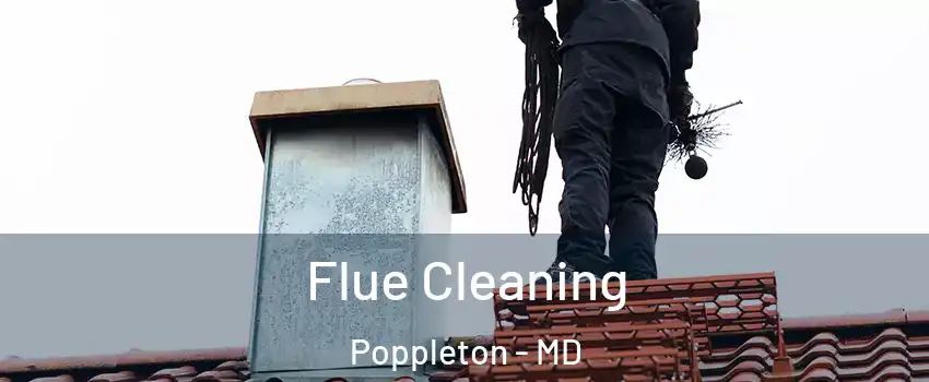 Flue Cleaning Poppleton - MD