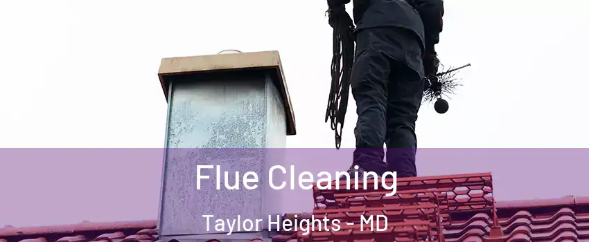 Flue Cleaning Taylor Heights - MD