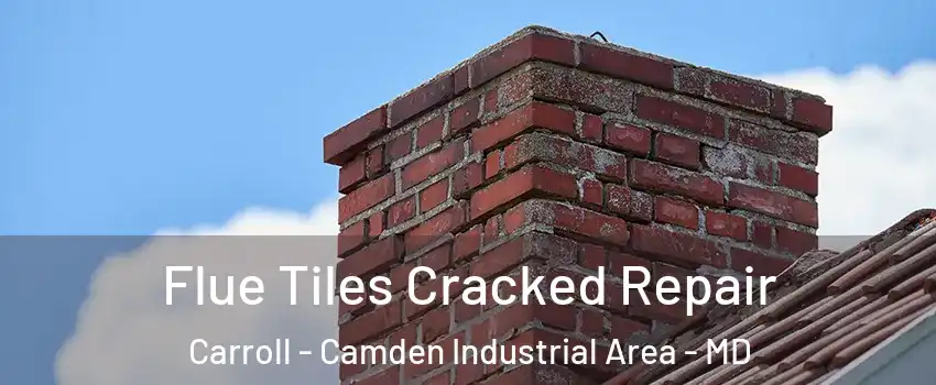 Flue Tiles Cracked Repair Carroll - Camden Industrial Area - MD
