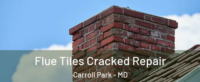 Flue Tiles Cracked Repair Carroll Park - MD