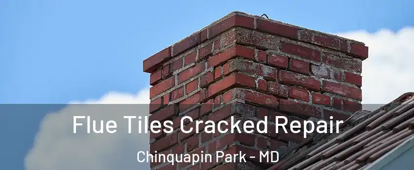 Flue Tiles Cracked Repair Chinquapin Park - MD