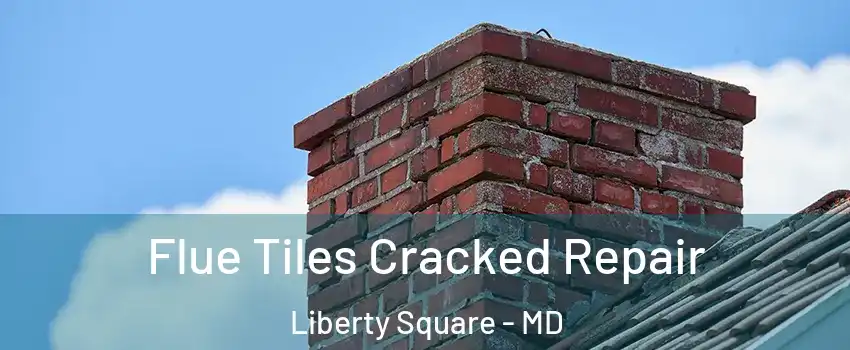 Flue Tiles Cracked Repair Liberty Square - MD
