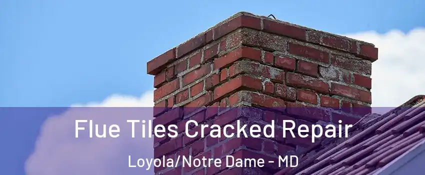 Flue Tiles Cracked Repair Loyola/Notre Dame - MD