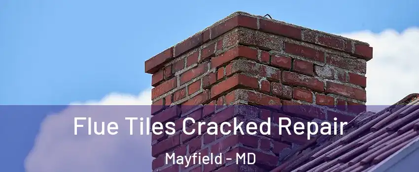 Flue Tiles Cracked Repair Mayfield - MD