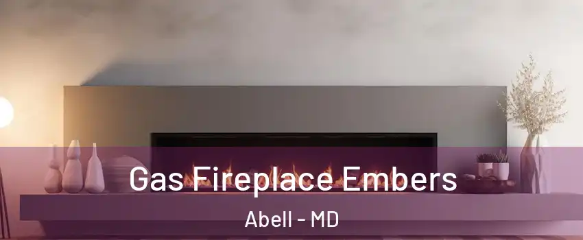 Gas Fireplace Embers Abell - MD
