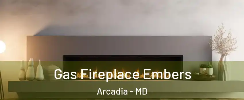 Gas Fireplace Embers Arcadia - MD