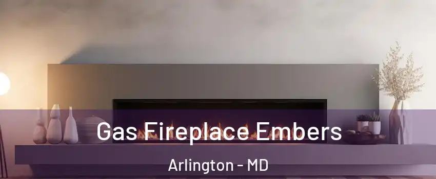 Gas Fireplace Embers Arlington - MD