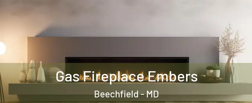 Gas Fireplace Embers Beechfield - MD