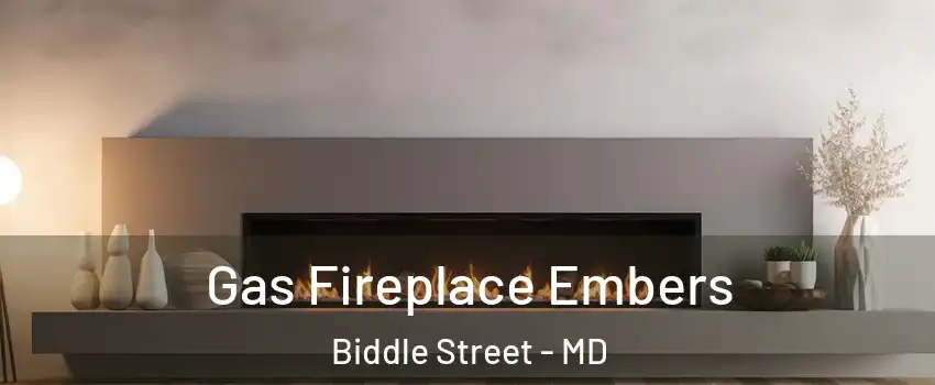 Gas Fireplace Embers Biddle Street - MD