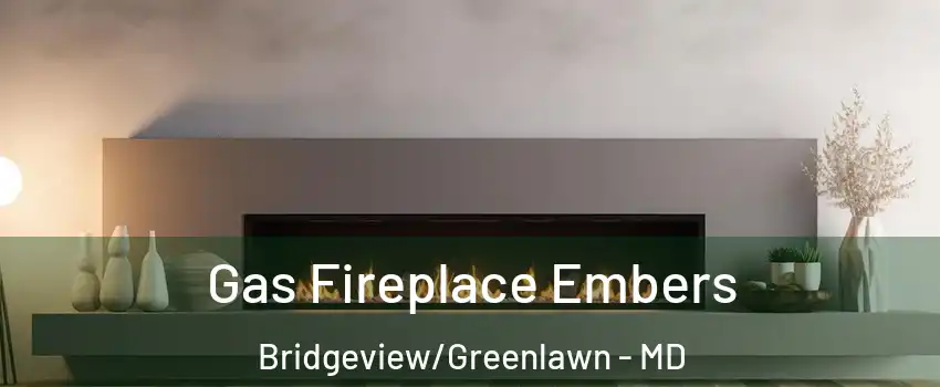 Gas Fireplace Embers Bridgeview/Greenlawn - MD