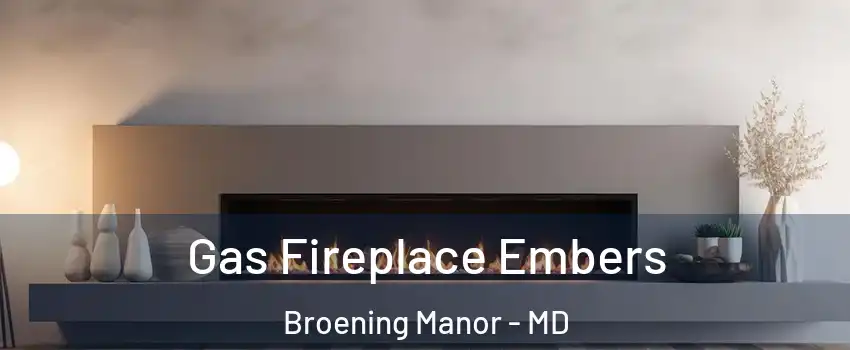 Gas Fireplace Embers Broening Manor - MD