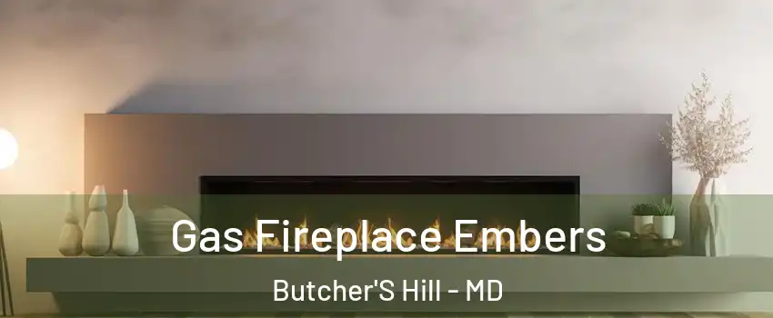 Gas Fireplace Embers Butcher'S Hill - MD