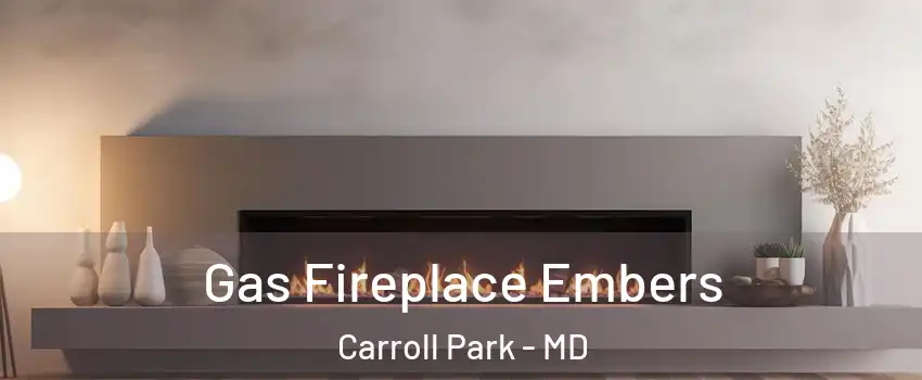 Gas Fireplace Embers Carroll Park - MD