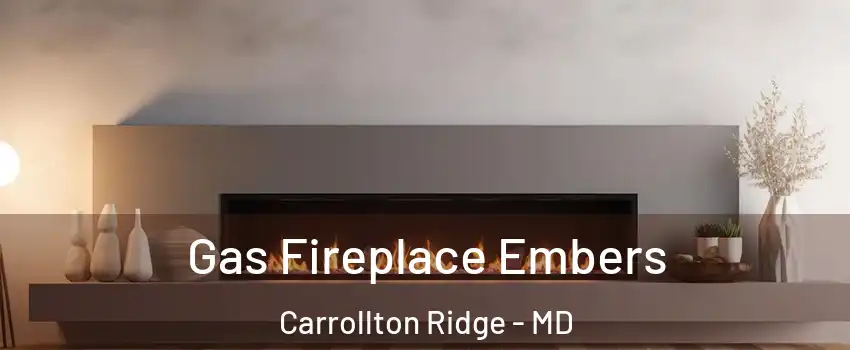 Gas Fireplace Embers Carrollton Ridge - MD