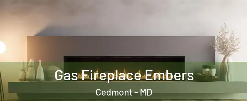 Gas Fireplace Embers Cedmont - MD