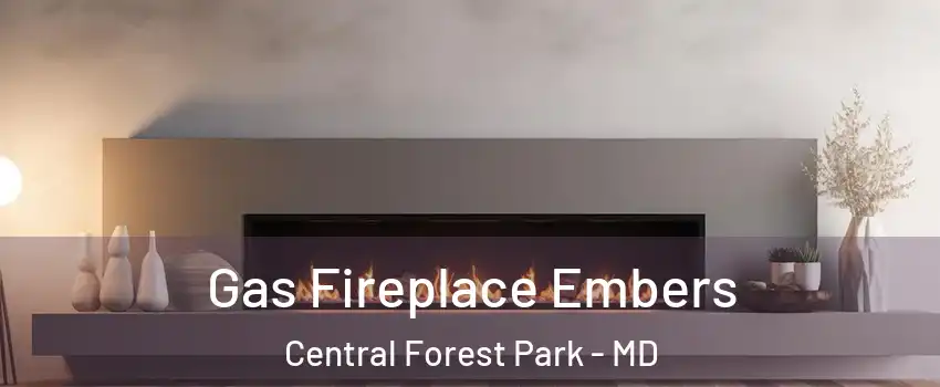 Gas Fireplace Embers Central Forest Park - MD