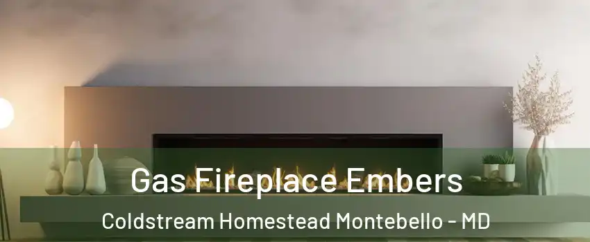 Gas Fireplace Embers Coldstream Homestead Montebello - MD