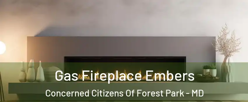 Gas Fireplace Embers Concerned Citizens Of Forest Park - MD