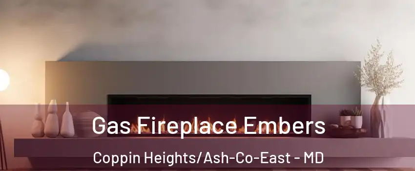 Gas Fireplace Embers Coppin Heights/Ash-Co-East - MD