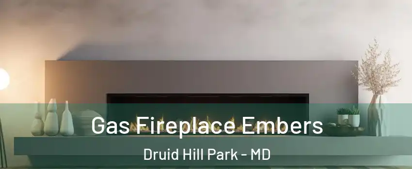 Gas Fireplace Embers Druid Hill Park - MD