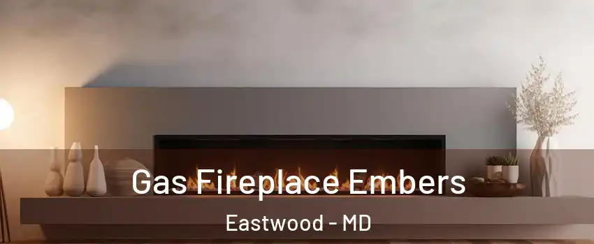 Gas Fireplace Embers Eastwood - MD
