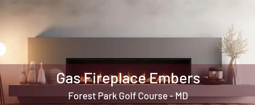 Gas Fireplace Embers Forest Park Golf Course - MD