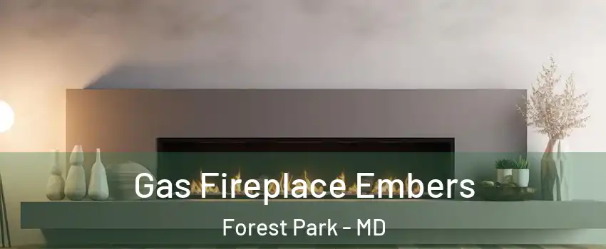 Gas Fireplace Embers Forest Park - MD