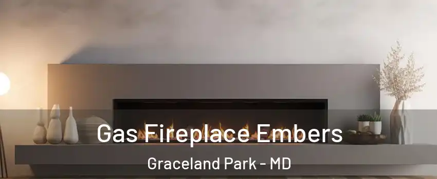 Gas Fireplace Embers Graceland Park - MD