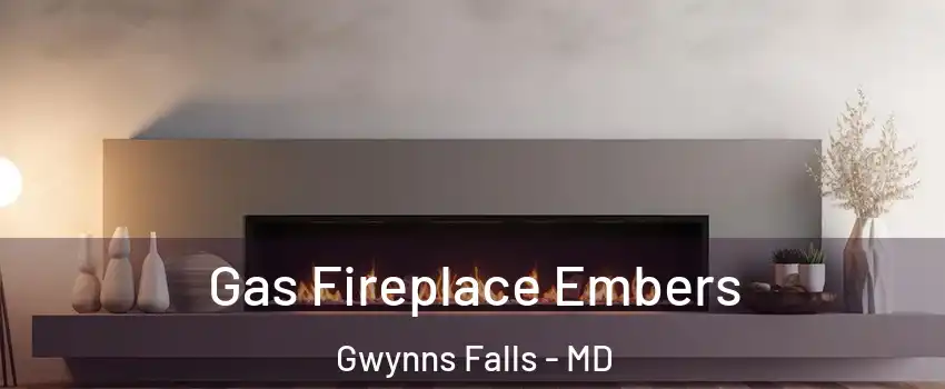 Gas Fireplace Embers Gwynns Falls - MD