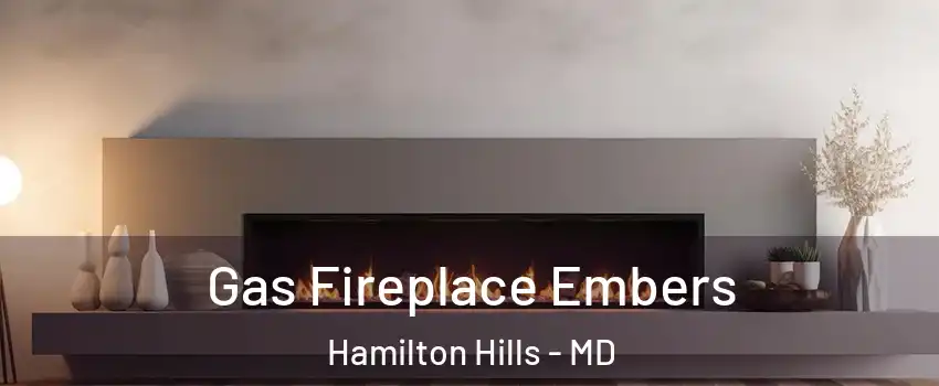 Gas Fireplace Embers Hamilton Hills - MD