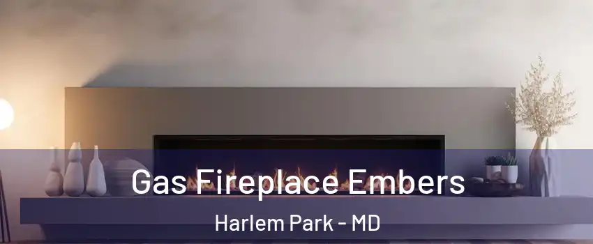 Gas Fireplace Embers Harlem Park - MD