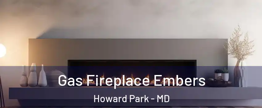 Gas Fireplace Embers Howard Park - MD