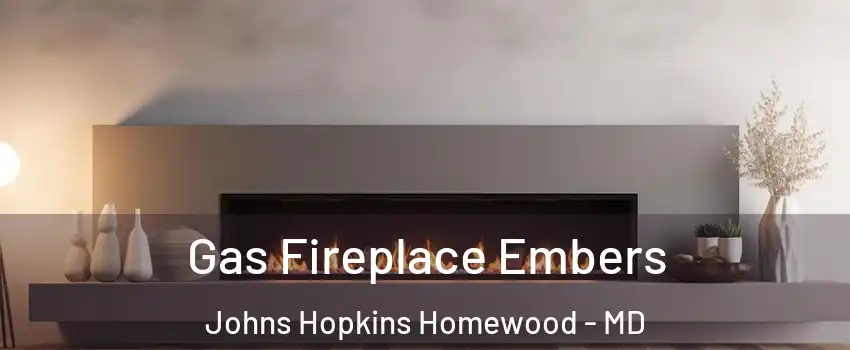 Gas Fireplace Embers Johns Hopkins Homewood - MD