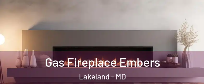 Gas Fireplace Embers Lakeland - MD