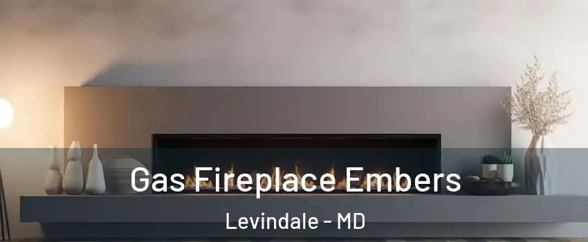 Gas Fireplace Embers Levindale - MD