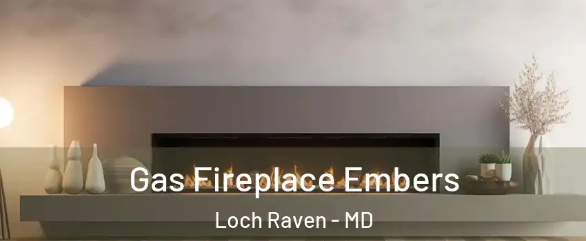 Gas Fireplace Embers Loch Raven - MD