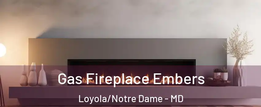 Gas Fireplace Embers Loyola/Notre Dame - MD