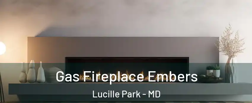 Gas Fireplace Embers Lucille Park - MD