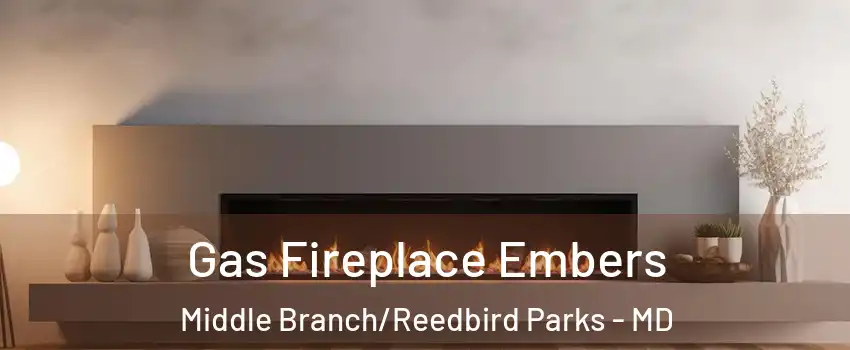 Gas Fireplace Embers Middle Branch/Reedbird Parks - MD