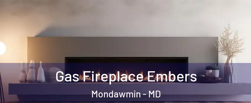 Gas Fireplace Embers Mondawmin - MD