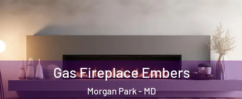 Gas Fireplace Embers Morgan Park - MD