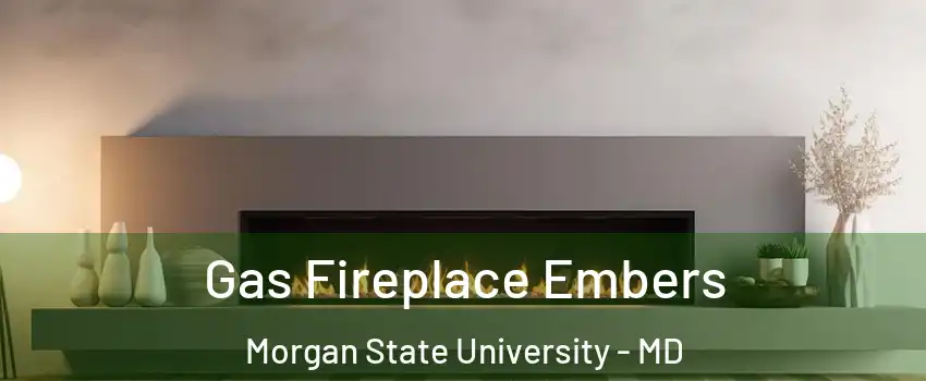 Gas Fireplace Embers Morgan State University - MD