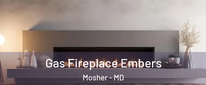 Gas Fireplace Embers Mosher - MD