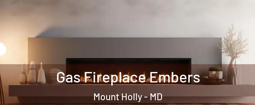 Gas Fireplace Embers Mount Holly - MD