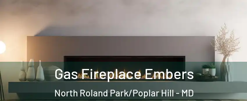 Gas Fireplace Embers North Roland Park/Poplar Hill - MD