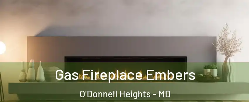 Gas Fireplace Embers O'Donnell Heights - MD