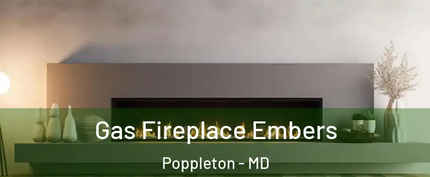 Gas Fireplace Embers Poppleton - MD