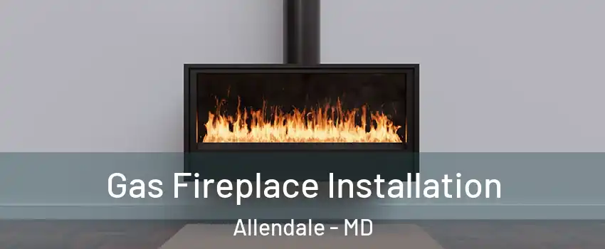 Gas Fireplace Installation Allendale - MD