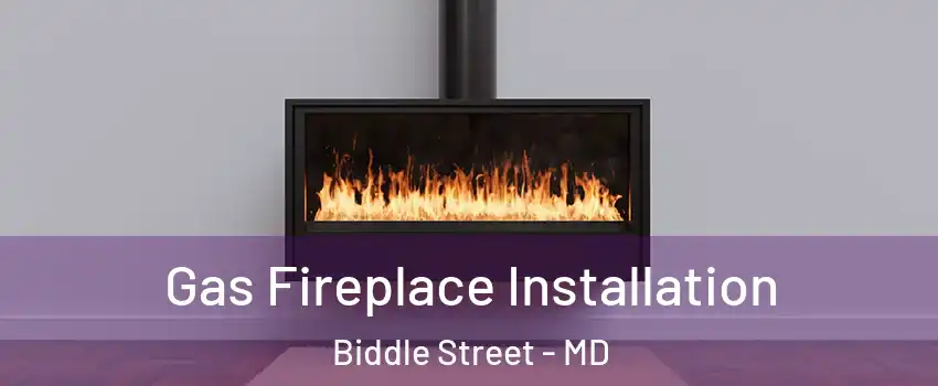 Gas Fireplace Installation Biddle Street - MD