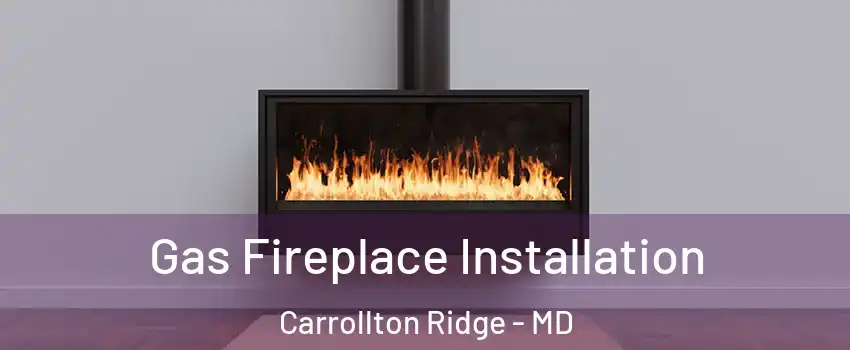 Gas Fireplace Installation Carrollton Ridge - MD
